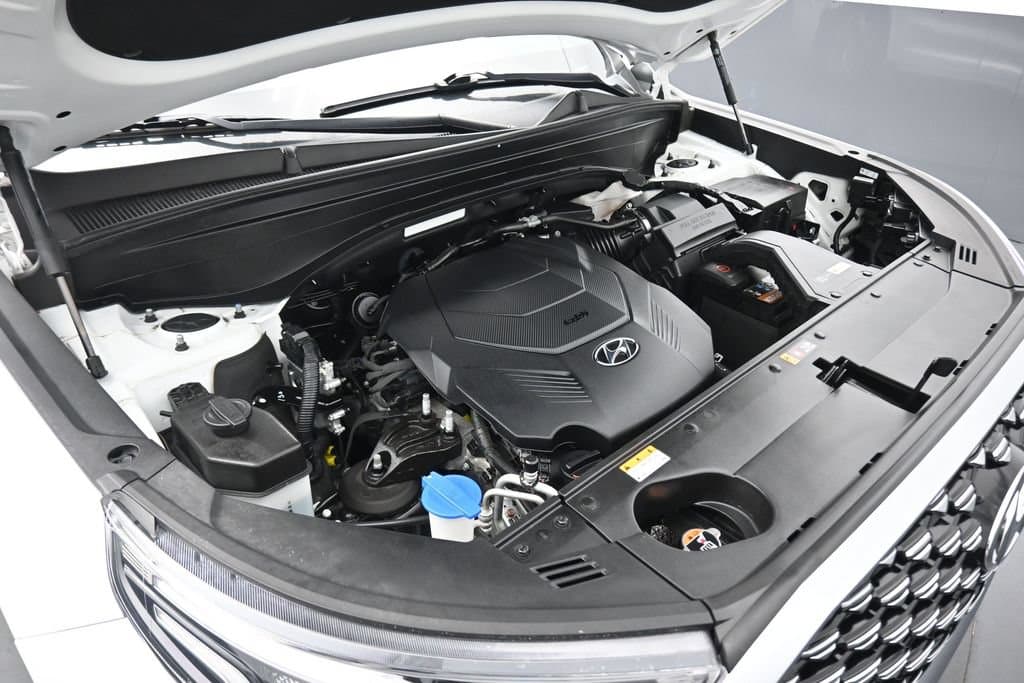 2021 Hyundai Palisade Calligraphy, photo 69 of 81